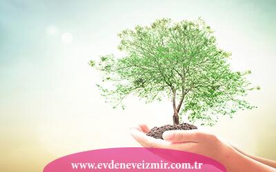 Çevre Politikası